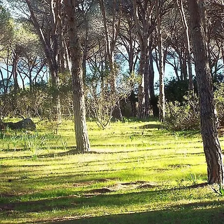 A Piedi Budoniaffitti